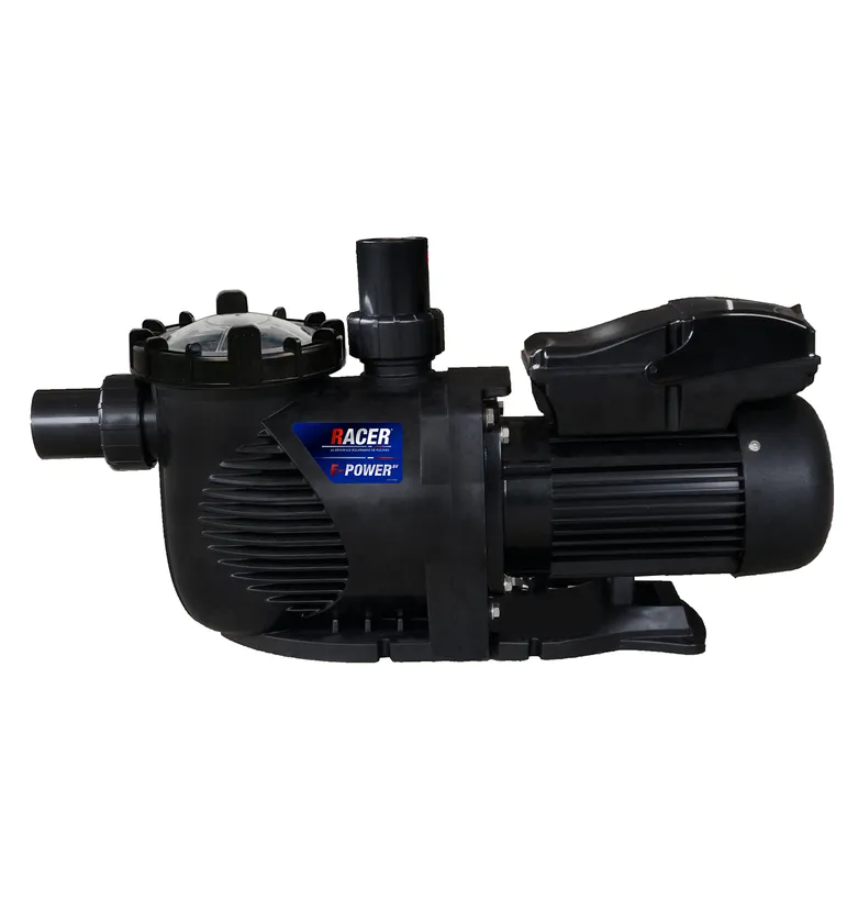 POMPE PISCINE RACER E-POWER BI-VITESSE 1.5cv 1 POMPE PISCINE RACER E-POWER BI-VITESSE 1.5cv